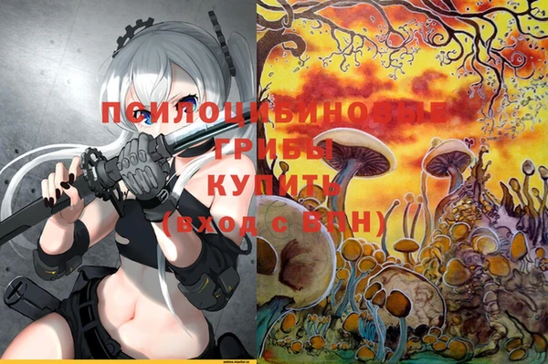 твердый Михайловск