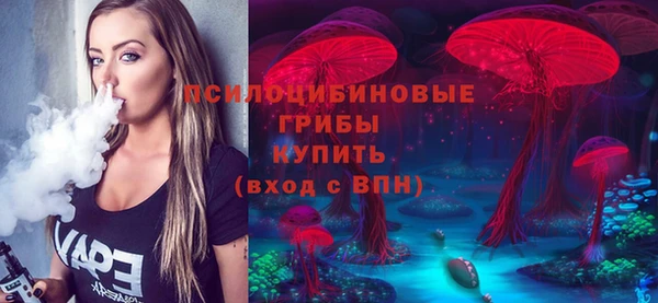 дурь Михайловка